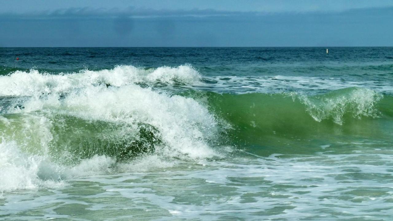 圣徒皮特海滩C7-Dolphin别墅 外观 照片